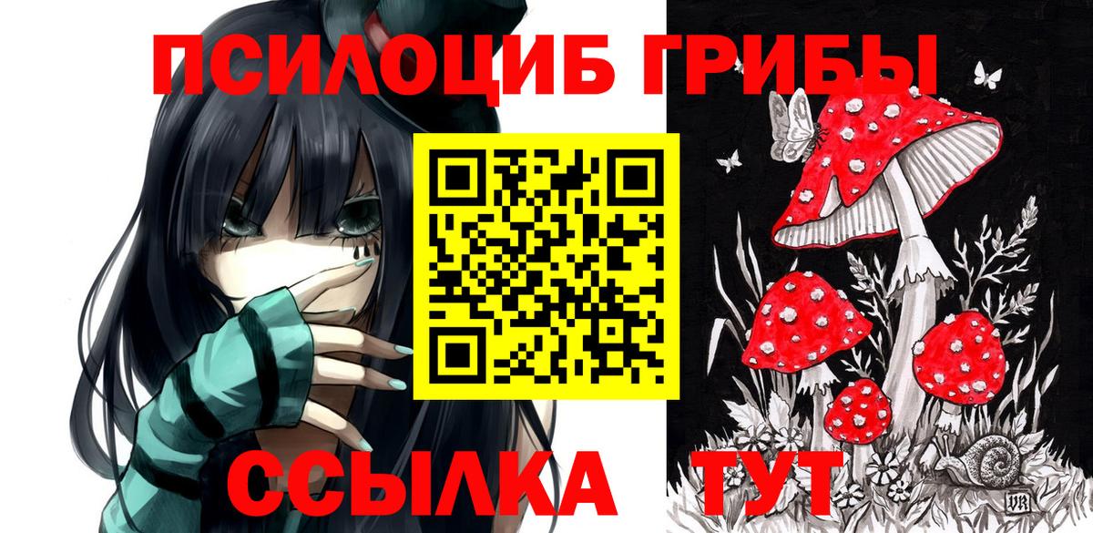 Коломна  хочу   Псилоцибиновые грибы MAGIC MUSHROOMS  Вход с VPN  Псилоцибиновые грибы Magic Shrooms 